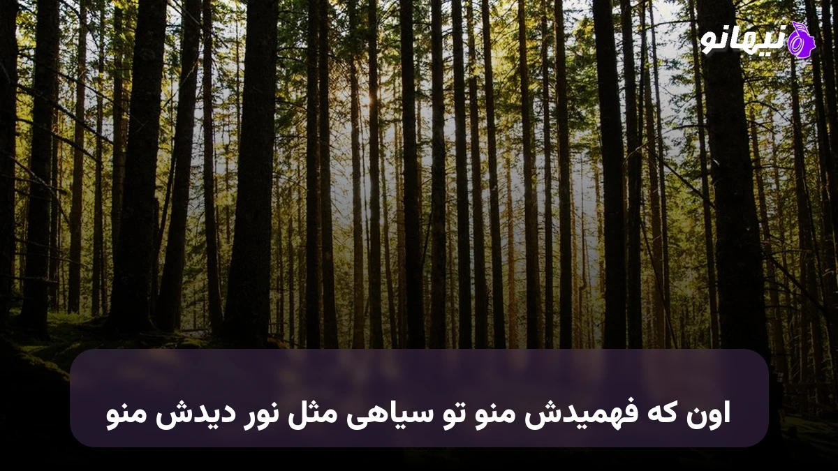 دانلود آهنگ اون که فهمیدش منو تو سیاهی مثل نور دیدش منو صدای زن